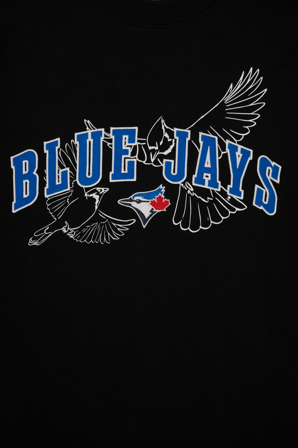 Toronto Blue Jays Crewneck Sweatshirt with Varsity Twill Lettering, Embroidered MLB French Terry Sweater, S-XXL