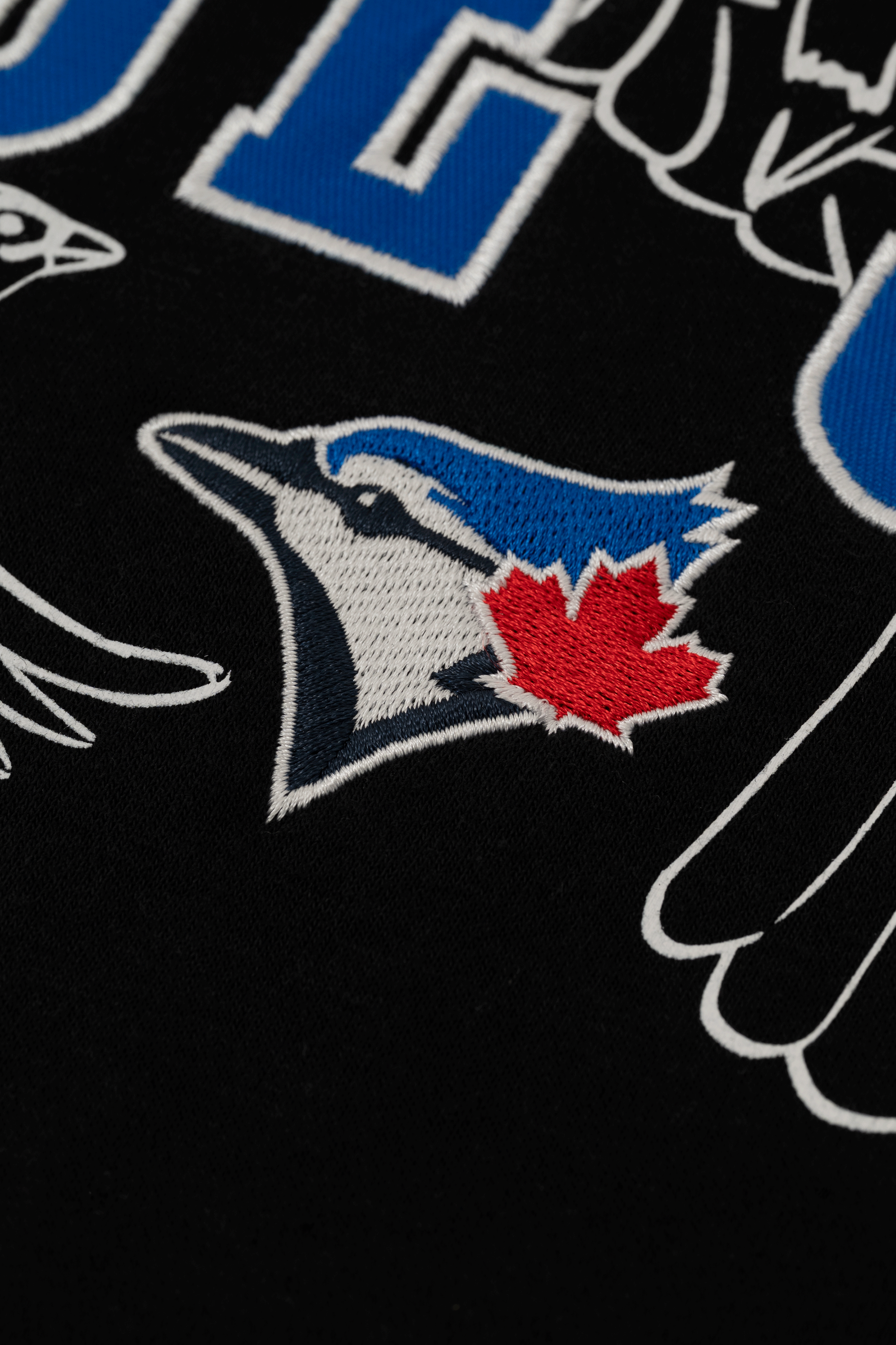 Toronto Blue Jays Crewneck Sweatshirt with Varsity Twill Lettering, Embroidered MLB French Terry Sweater, S-XXL