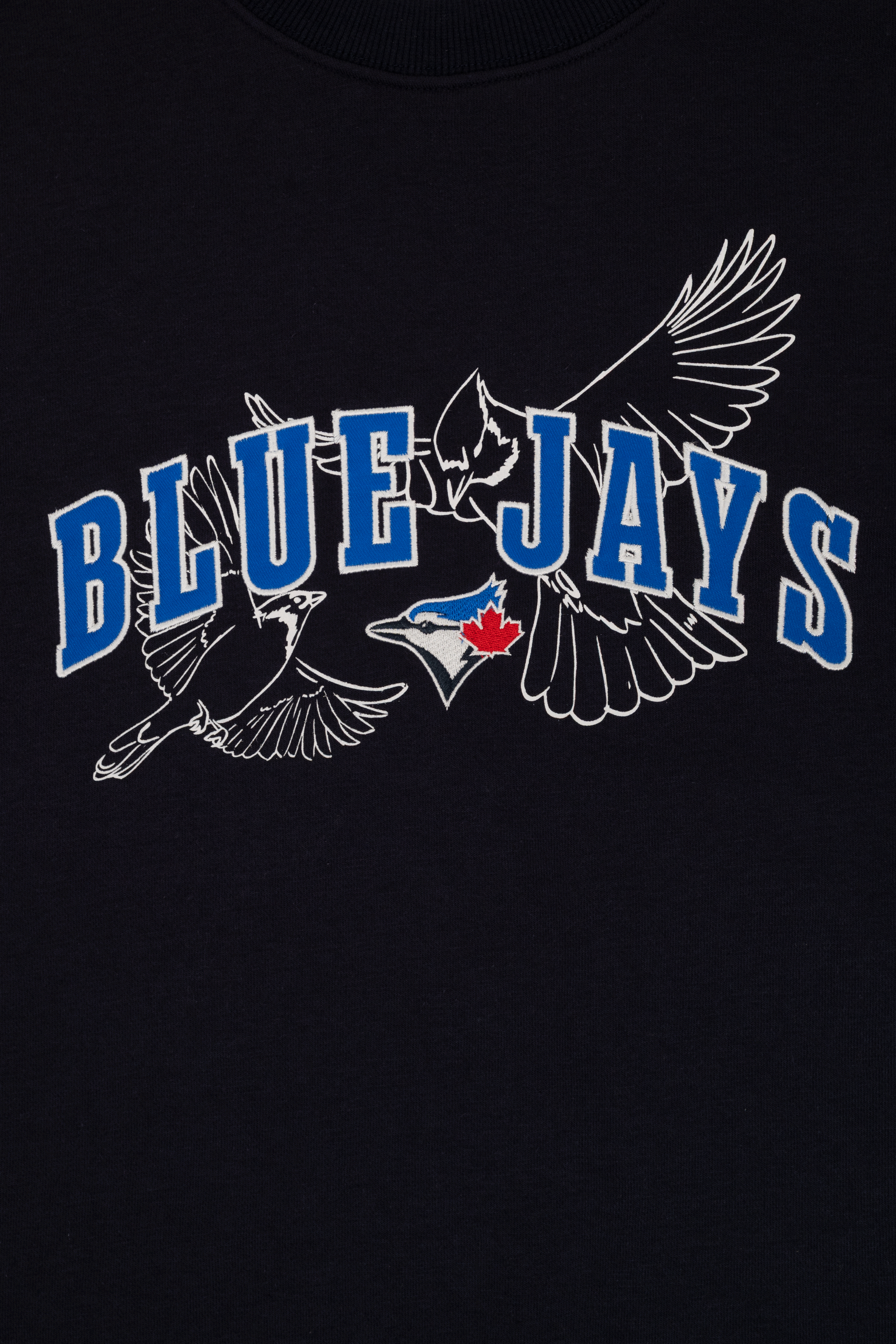 Toronto Blue Jays Crewneck Sweatshirt with Varsity Twill Lettering, Embroidered MLB French Terry Sweater, S-XXL