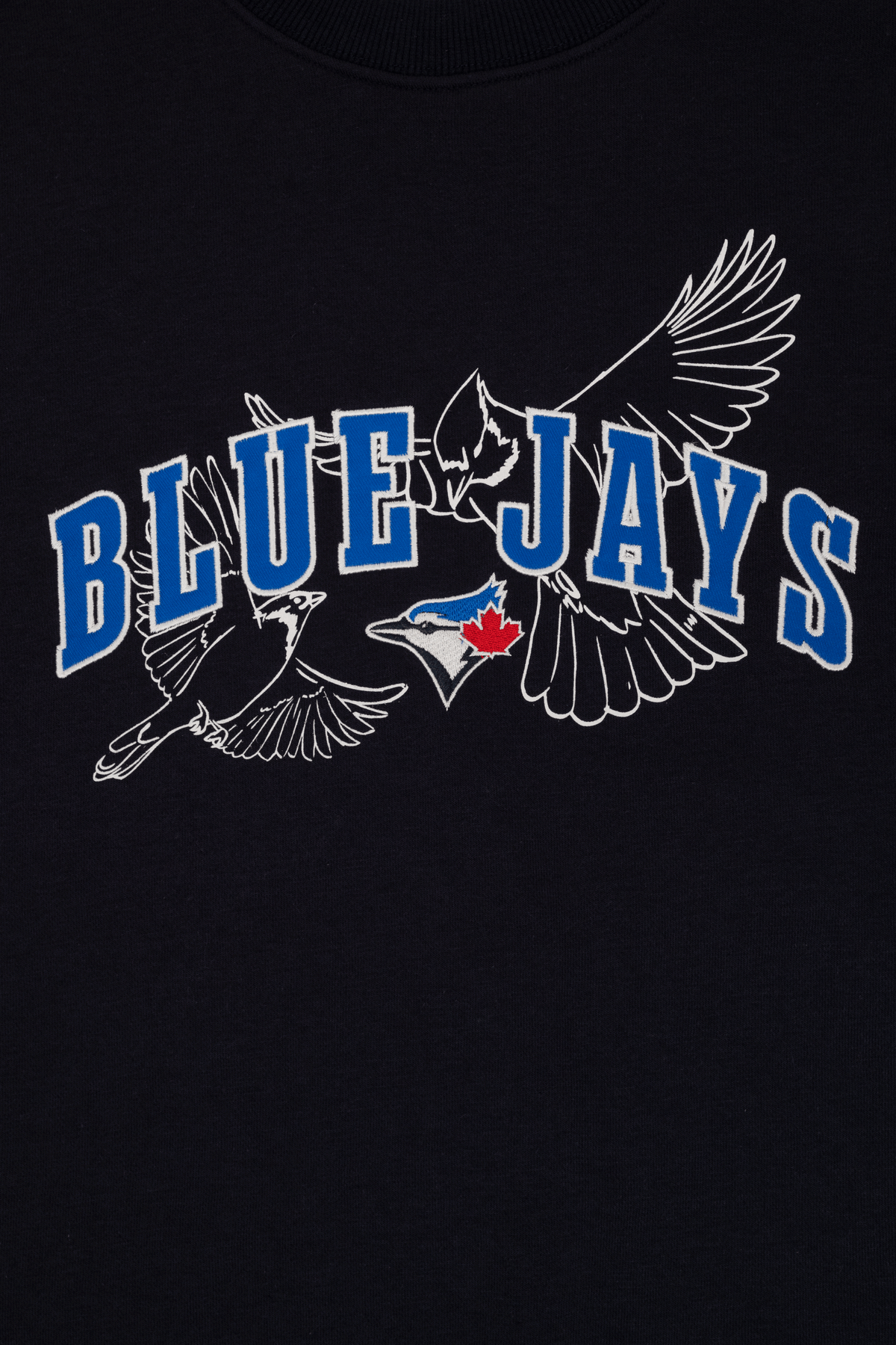 Toronto Blue Jays Crewneck Sweatshirt with Varsity Twill Lettering, Embroidered MLB French Terry Sweater, S-XXL
