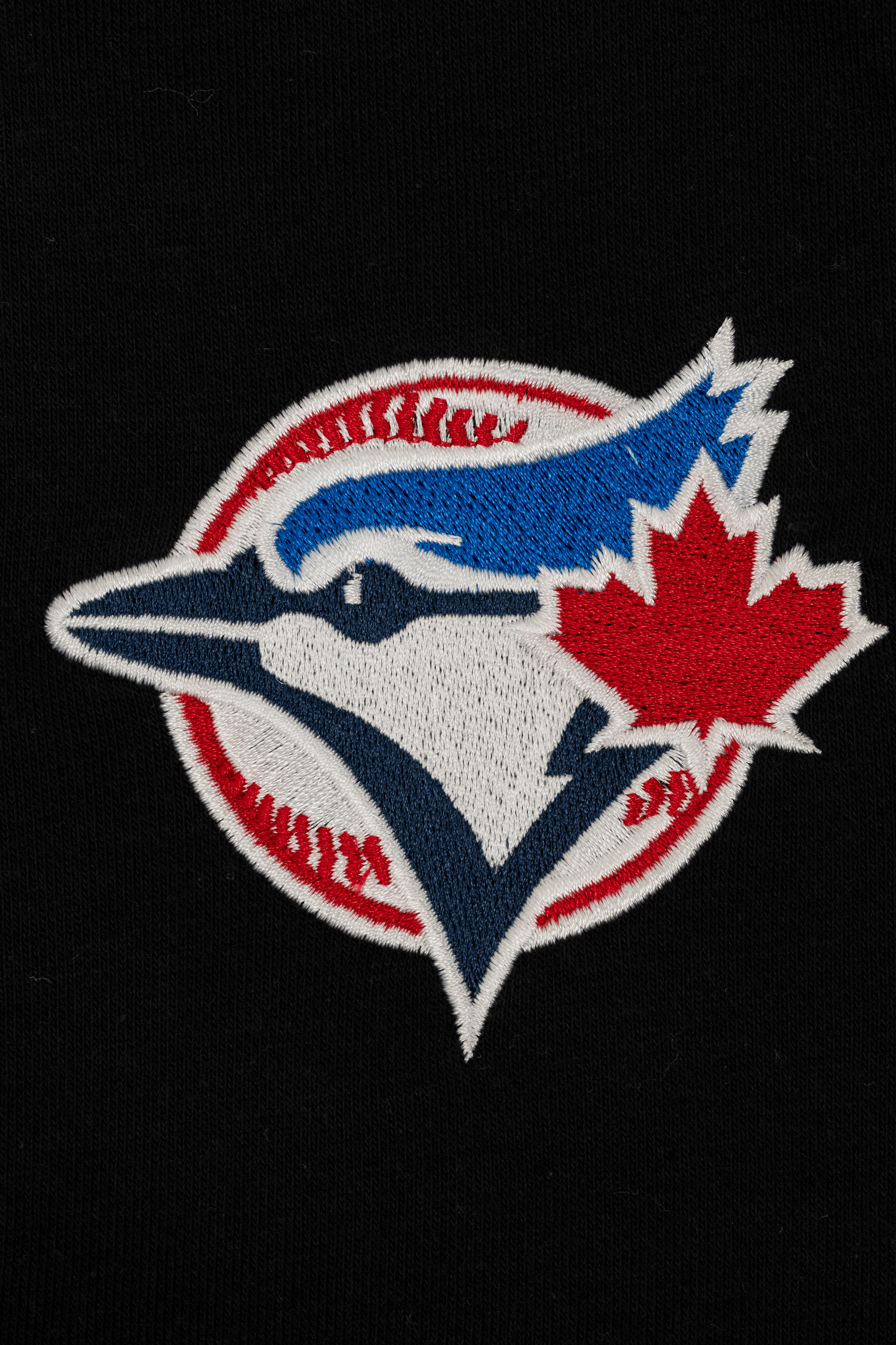 Toronto Blue Jays French Terry Adult Shorts, MLB Embroidered Logo Sweat Shorts, XS-XXL
