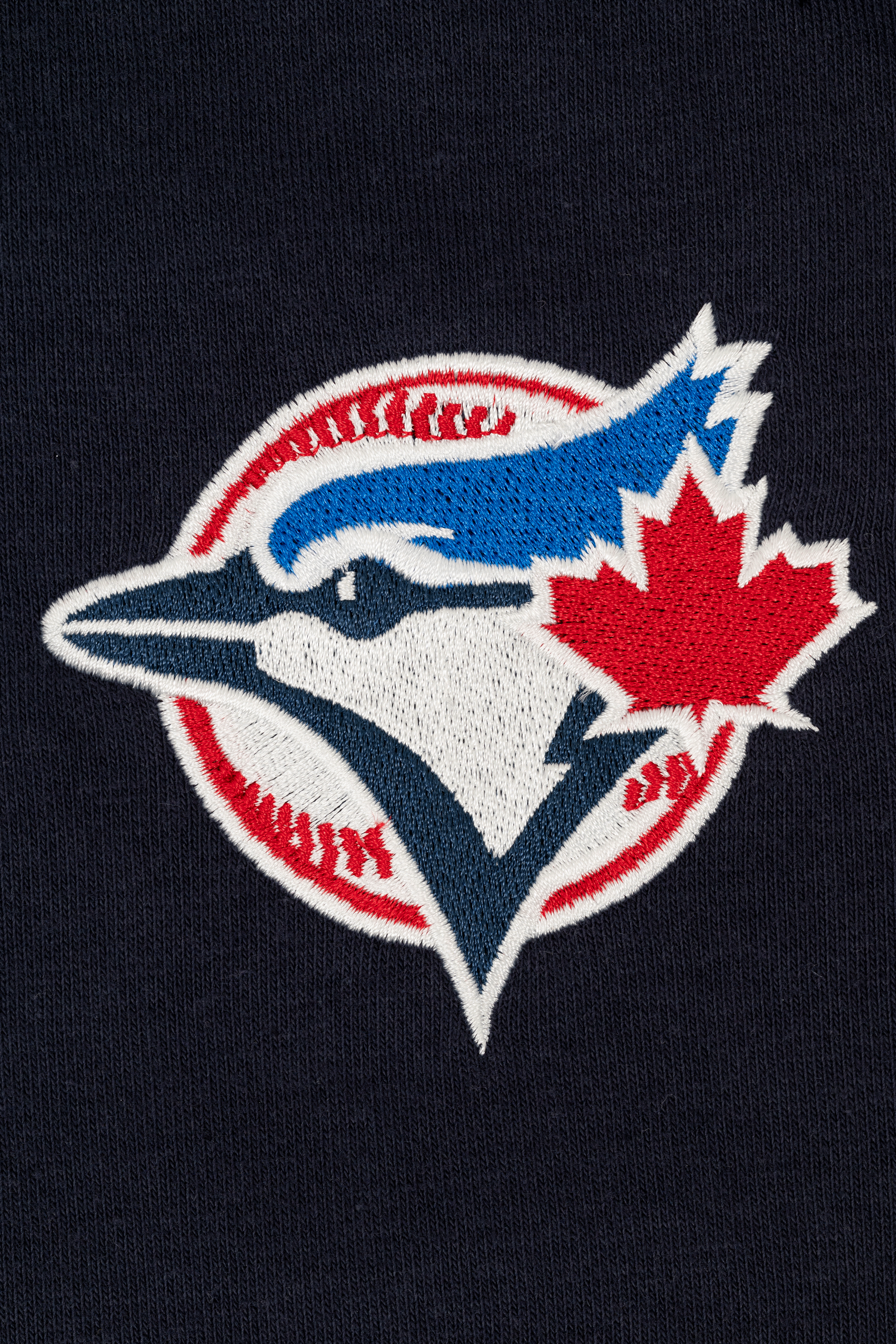 Toronto Blue Jays French Terry Adult Shorts, MLB Embroidered Logo Sweat Shorts, XS-XXL