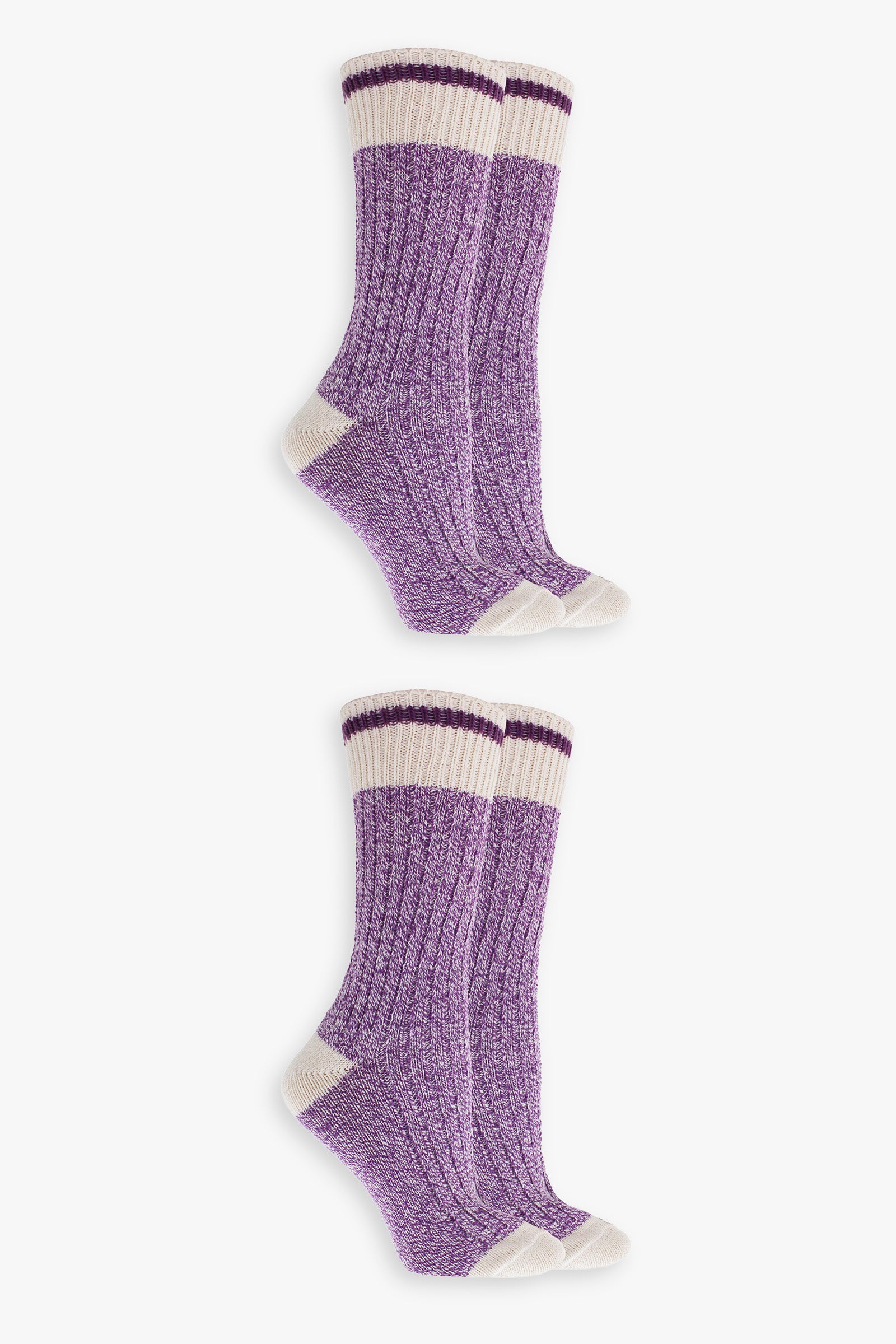 Great Northern Purple Ladies Multipack Boot Socks