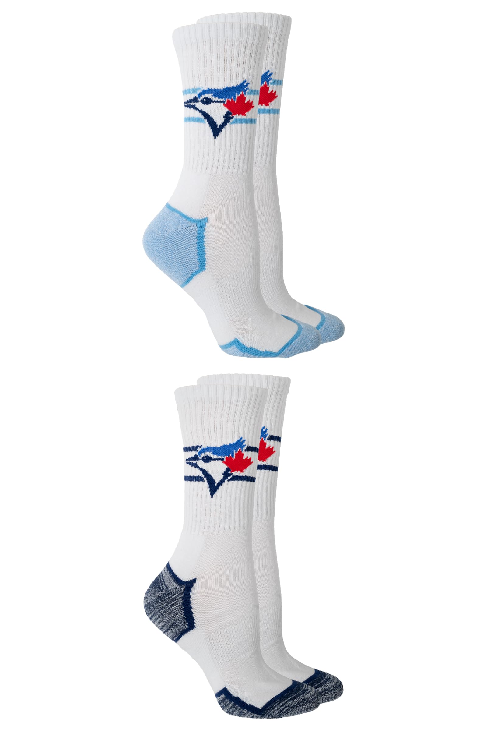 MLB Toronto Blue Jays Ladies 2-Pack Half Terry Cotton Crew Socks