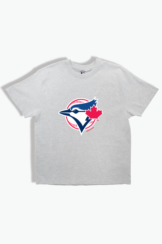 Toronto Blue Jays Kids Heather Grey T-Shirt MLB Youth Tee, Soft Combed Cotton, Boys & Girls S-XL