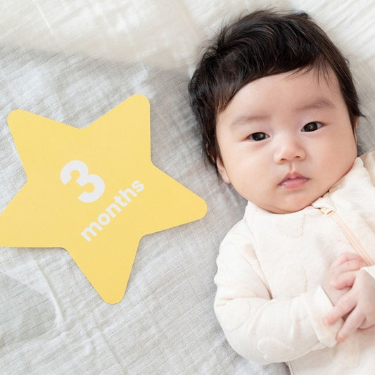 Baby 12 Months Milestone / Photo Blanket
